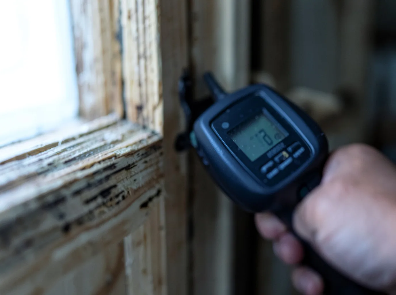 Moisture Inspection And Documentation in Wellpinit, WA